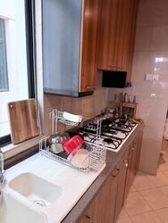 Valley Park (D10), Condominium #613798881
